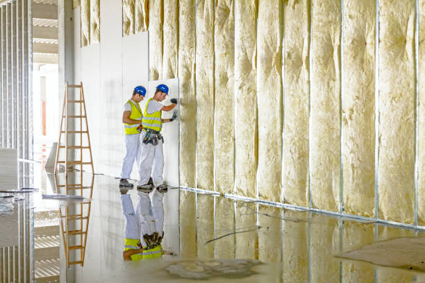 Best Insulation Contractors for Homes  in New London, TX